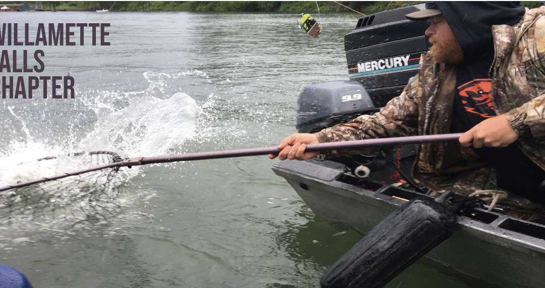 WILLAMETTE FALLS CHAPTER