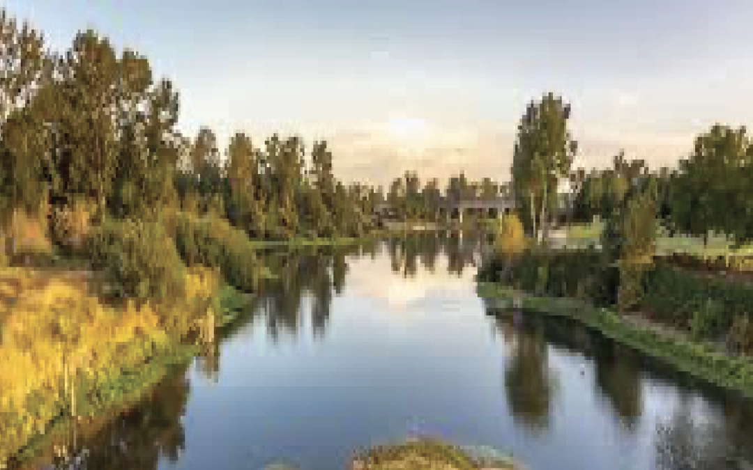 Willamette EIS Comments (March 2023)